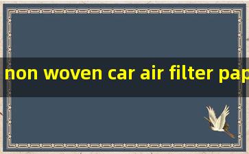 non woven car air filter paper exporter